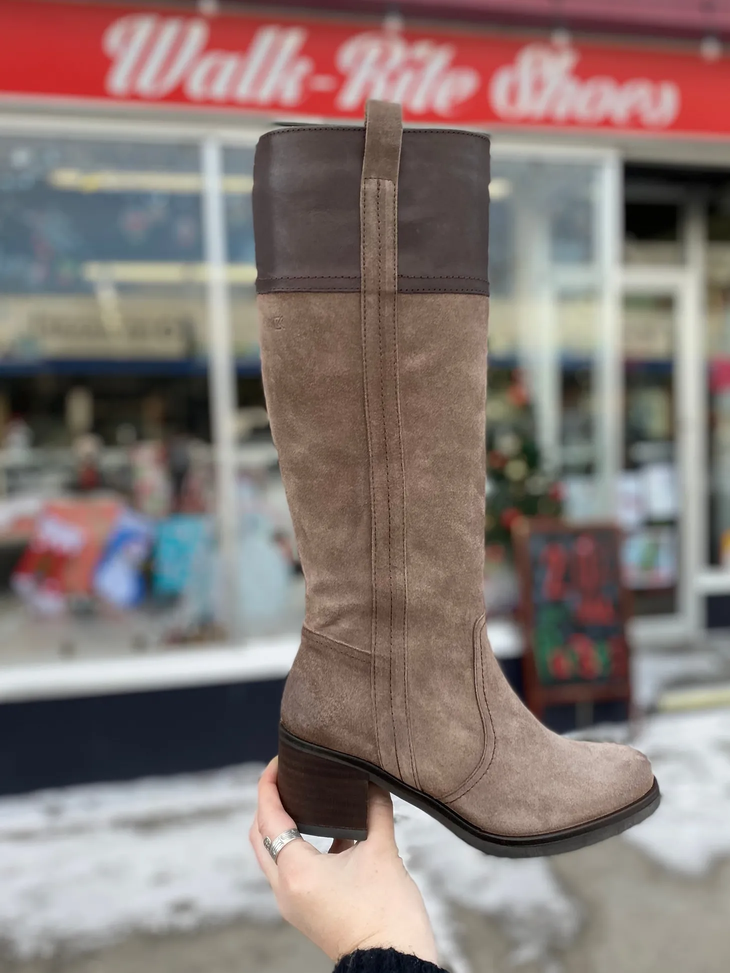 Dorking - Rox Tall - Grey