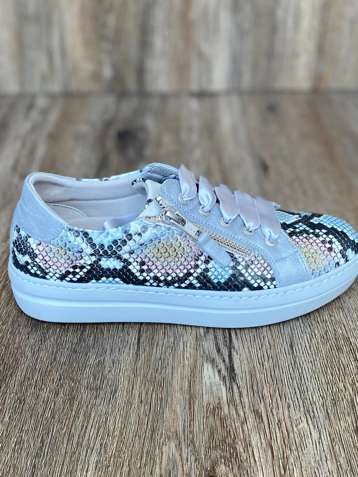 Dorking - VIP - Multi Reptile