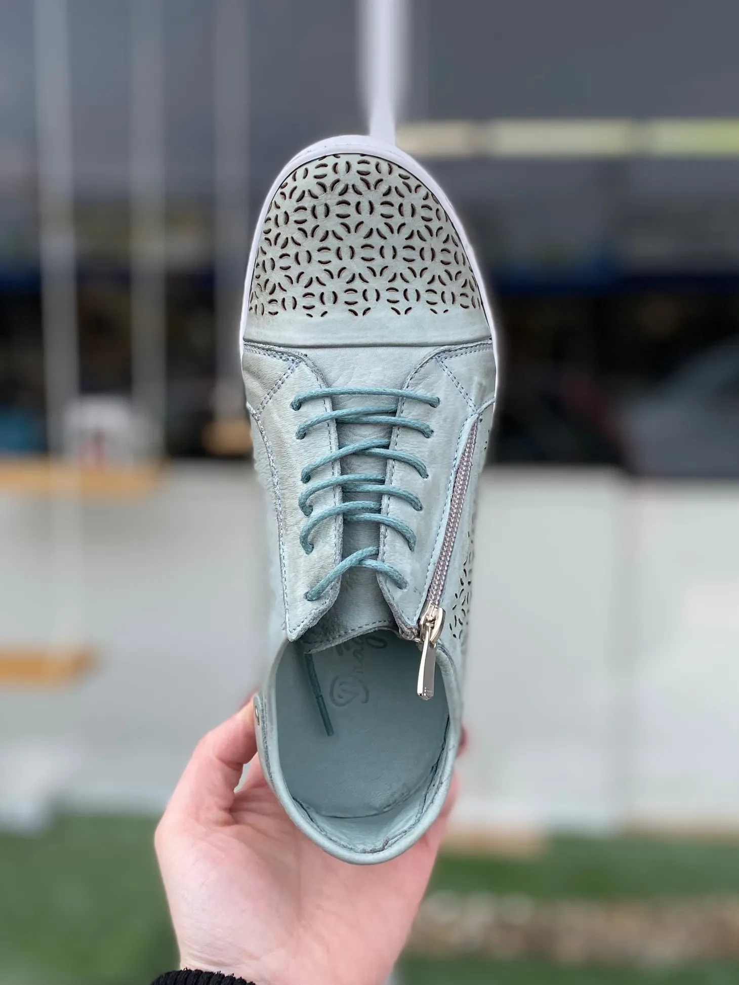 Dragonfly - EG16 - Mint