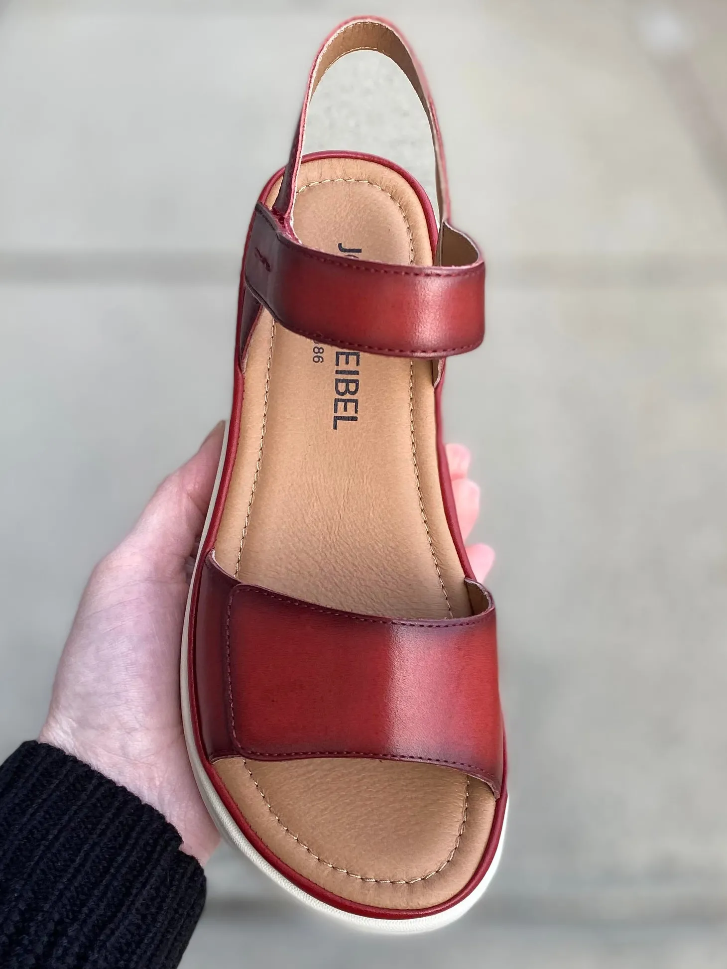 Josef Seibel - Sevran 01 - Hibiscus