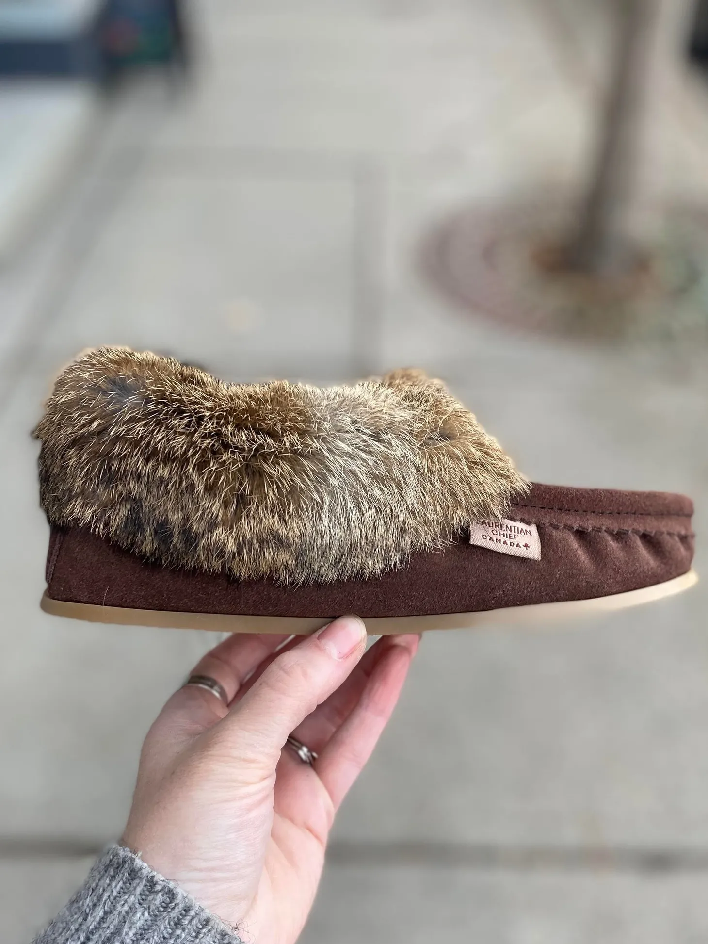 Laurentian Chief - 13673L - Brown