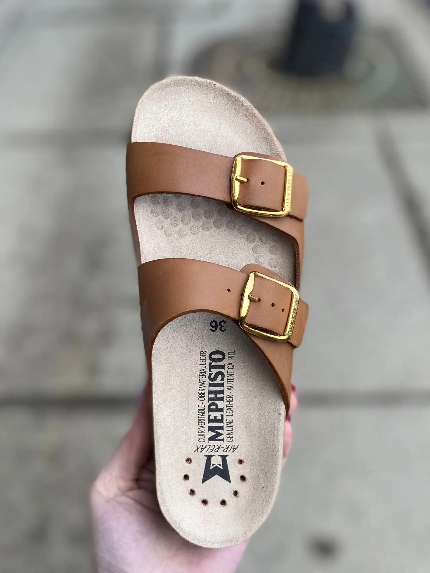 Mephisto - Harmony - Camel