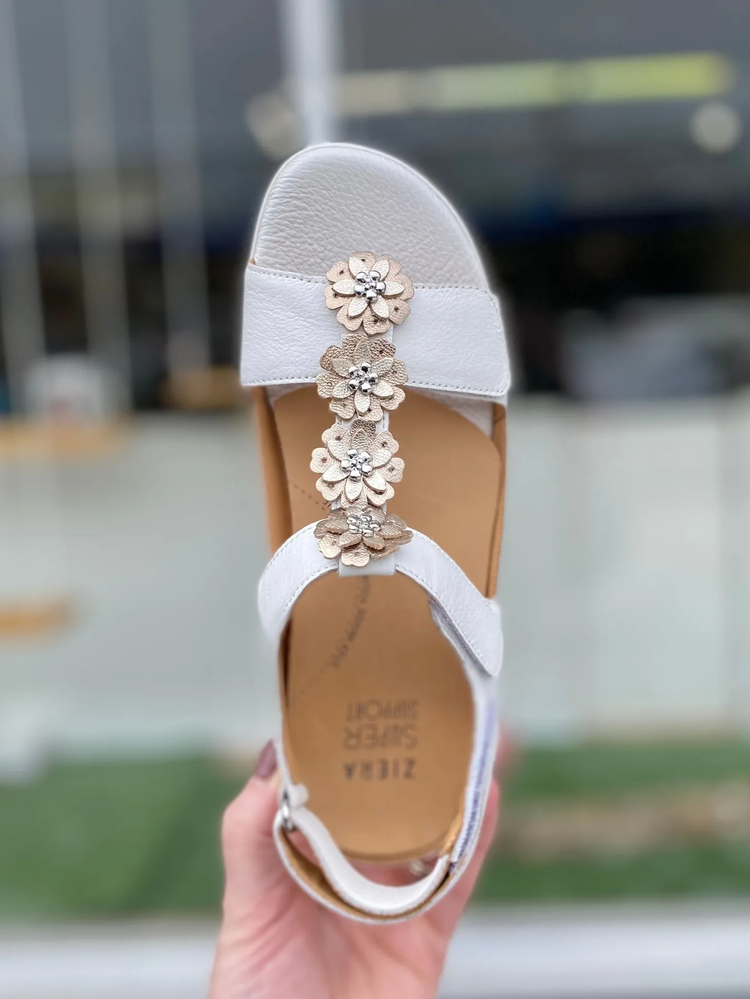 Ziera - Dagnet - White *WIDE*