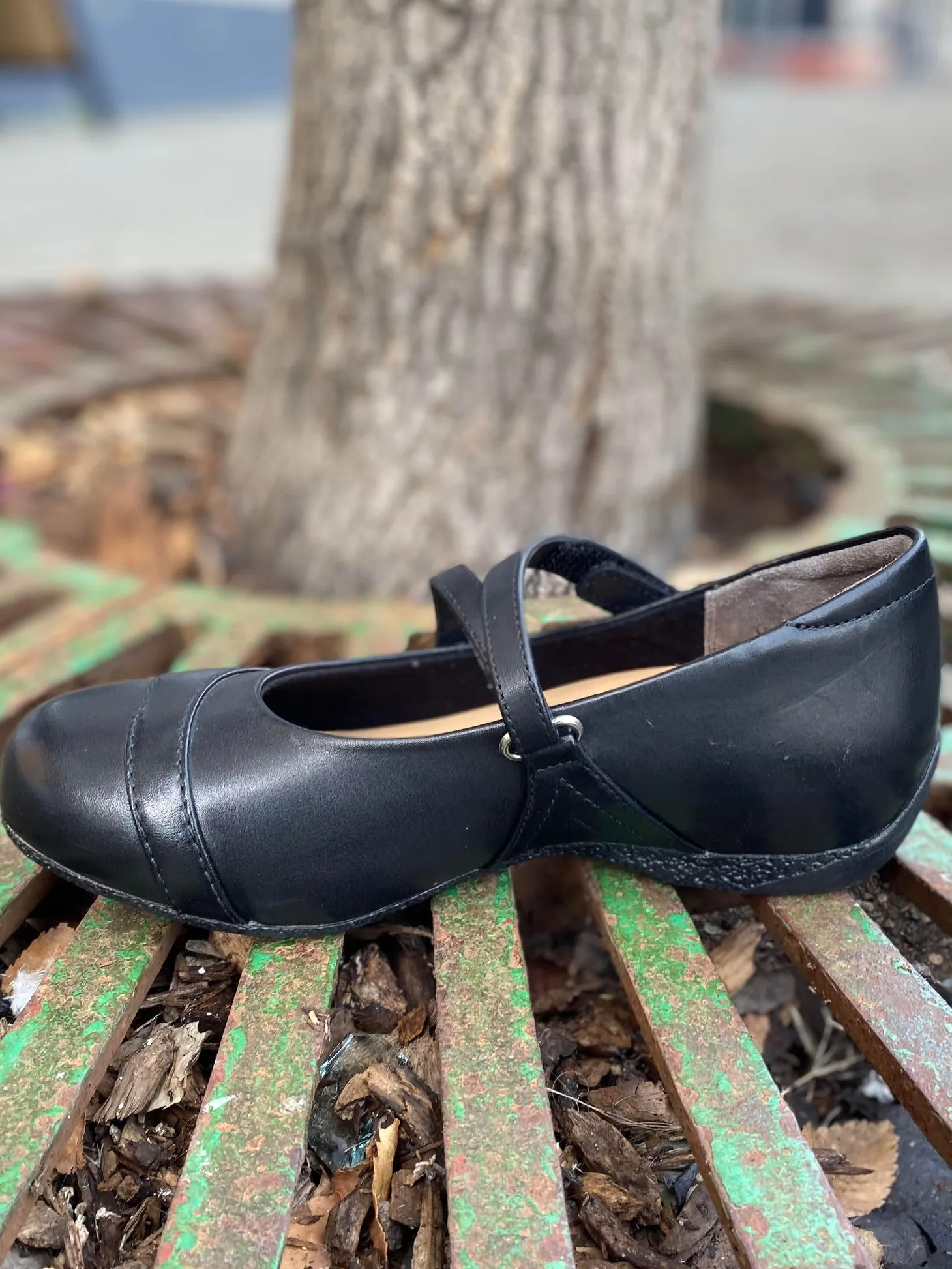 Ziera - X-ray - Black *WIDE*